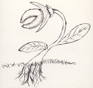 Scribble: Fleischfressende PflanzeScribble: carnivorous plant