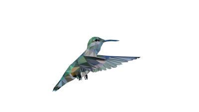 hummingbird_002