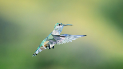 hummingbird_002b