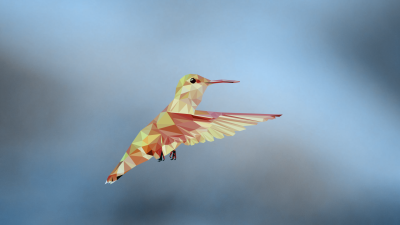 hummingbird_002c
