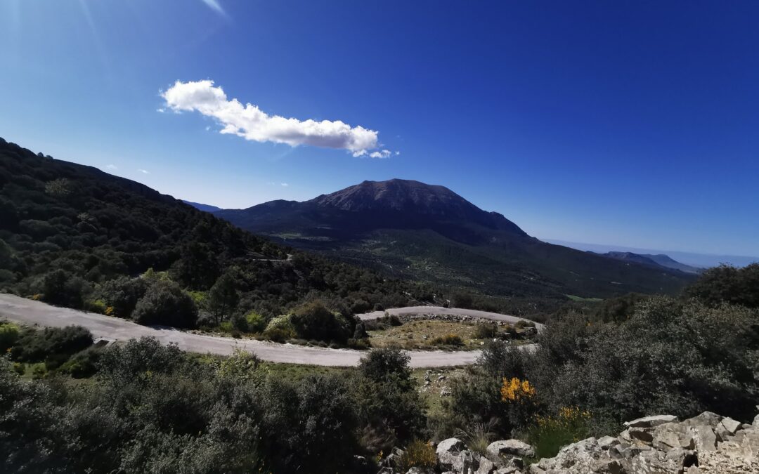 Spain 2024 – day 11: Through the Sierra de Seguro